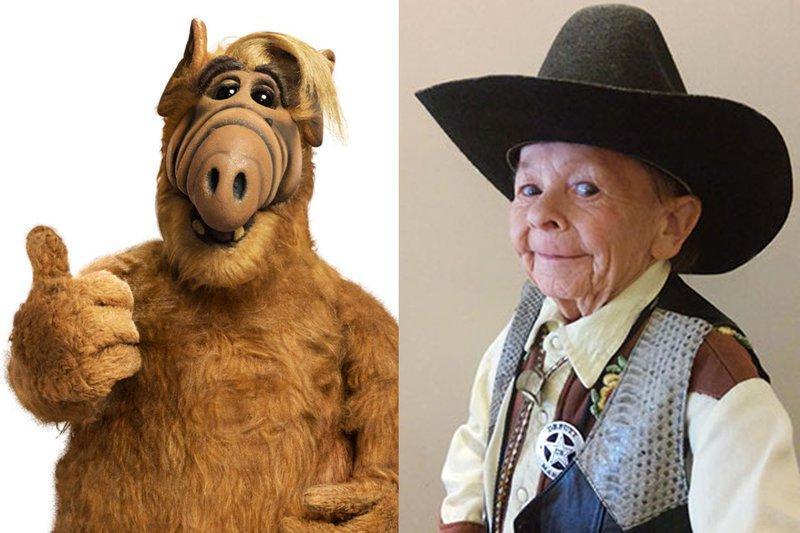 Michu Meszaros