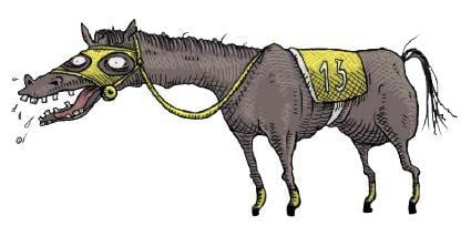 Cavallo Horse Fever