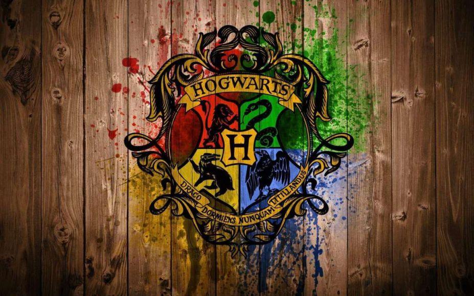 fan di Harry Potter