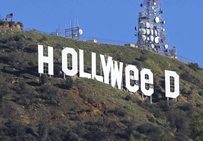 Hollyweed