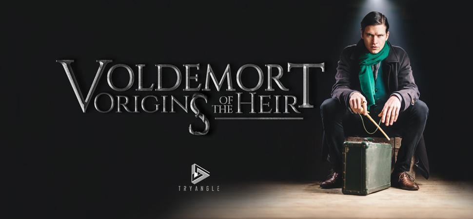 Voldemort-Origins-of-the-Heir