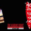 the kabuki fight - alpha cover