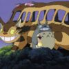 Gattobus Il Mio Vicino Totoro