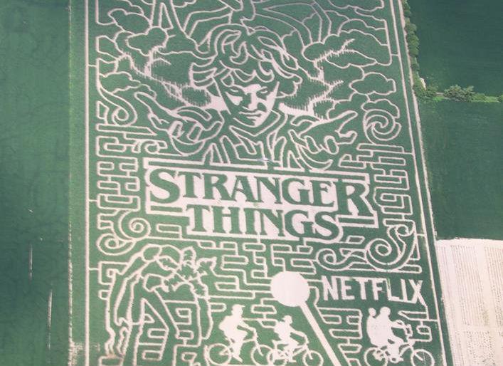 Cerchio nel grano di Stranger Things