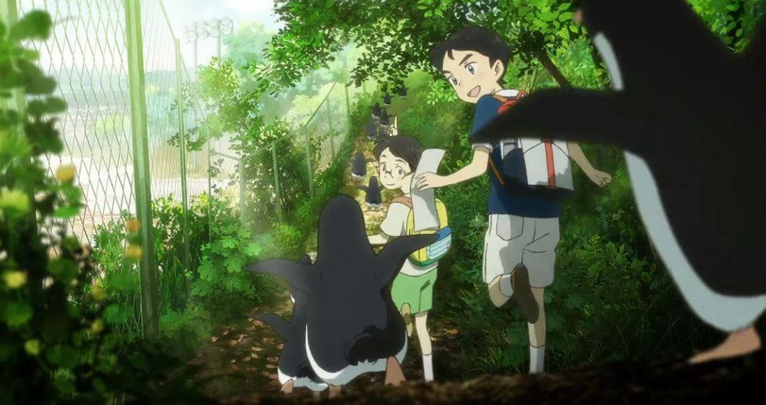 Penguin Highway: Dynit porterà in Italia l'anime dello Studio Colorido - Penguin Highway: Dynit porterà in Italia l'anime dello Studio Colorido -
