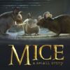 Mice: A small story