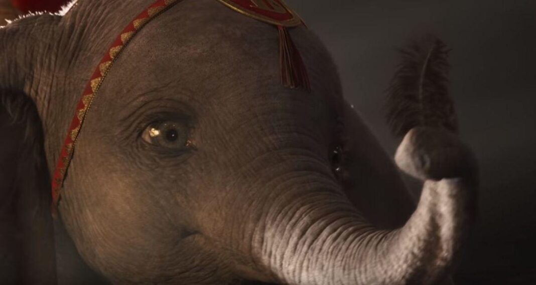 Dumbo