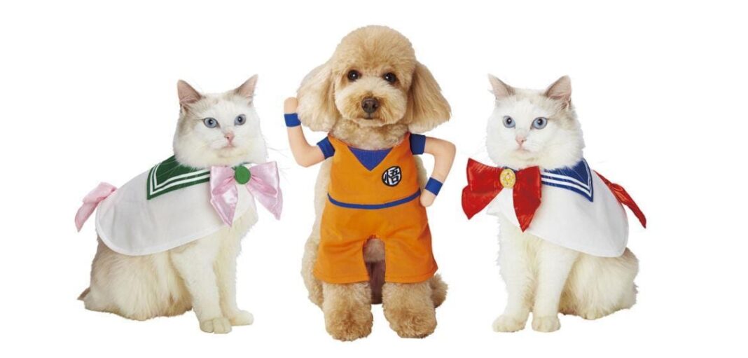 costumi per animali a tema Dragon Ball
