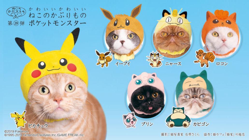 cappelli pokémon per gatti