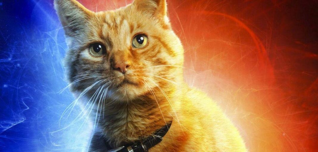 captain marvel goose