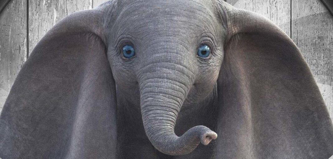 Dumbo