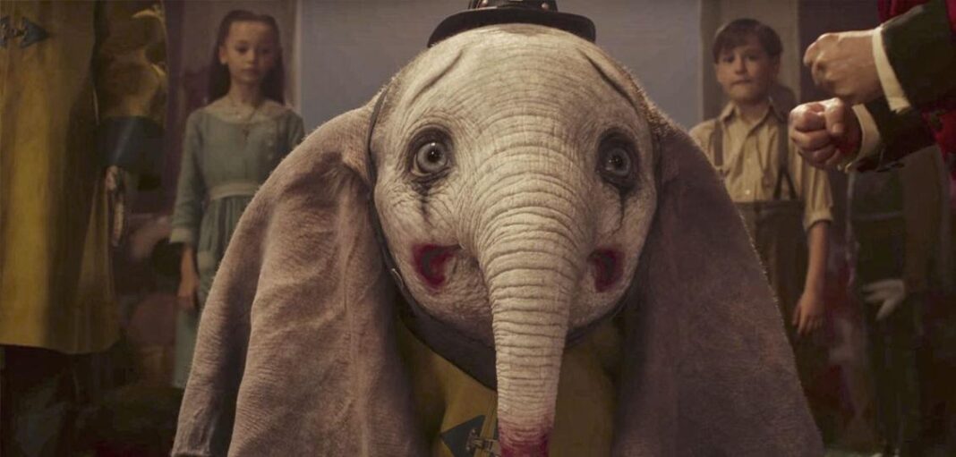 dumbo