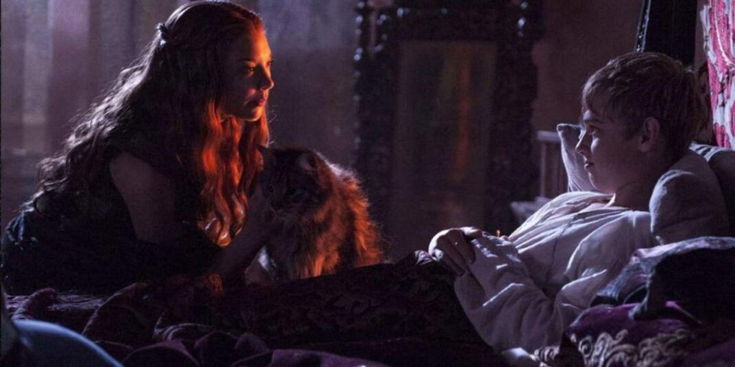 Ser Pounce Game of Thrones