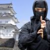 ninja experience Castello di Odawara
