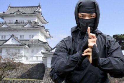 ninja experience Castello di Odawara