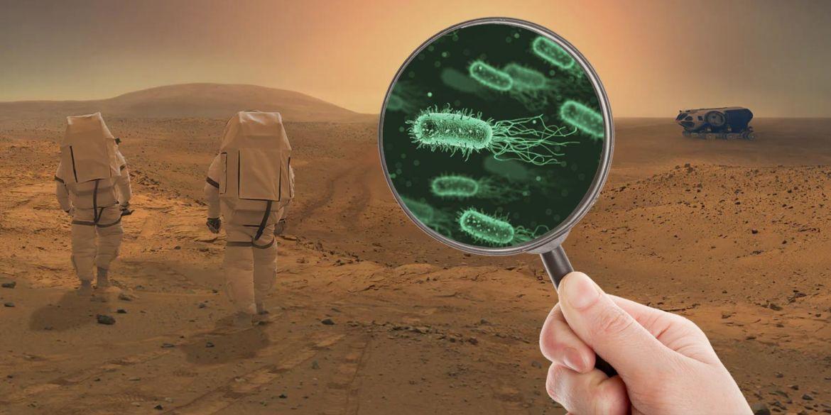 Risultati immagini per microbi su marte