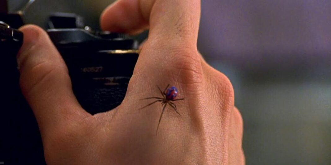 spider-man morso ragno film sam raimi