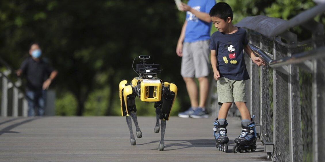 cane robot Singapore