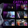 catflix parodia netflix champion cat