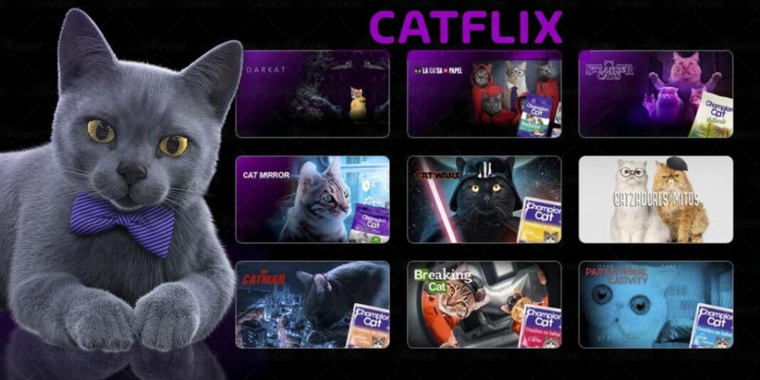 catflix parodia netflix champion cat