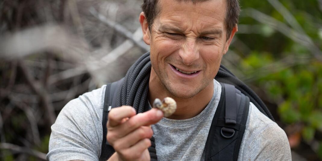 Scuola di sopravvivenza Missione safari Bear Grylls