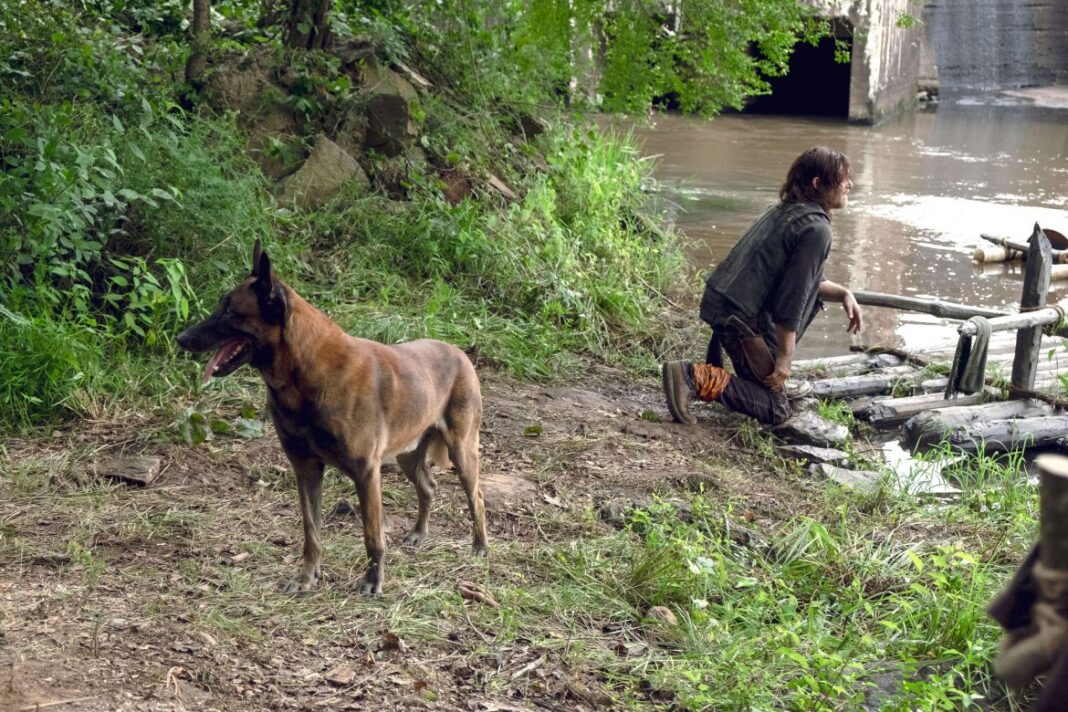 Daryl Cane The Walking Dead