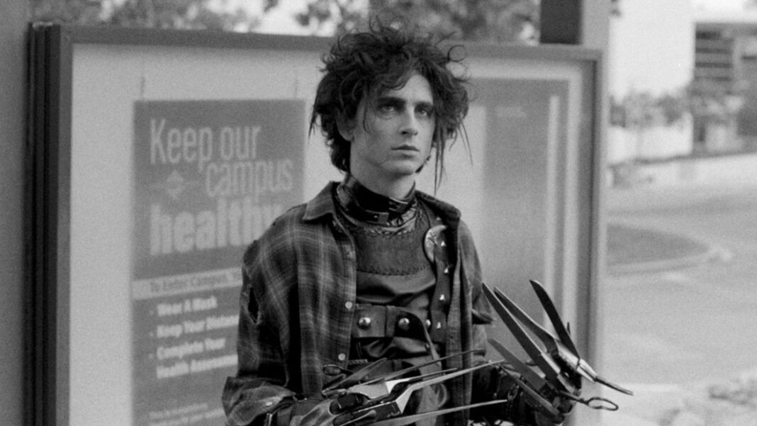 Timothee Chalamet Edward Mani di Forbice