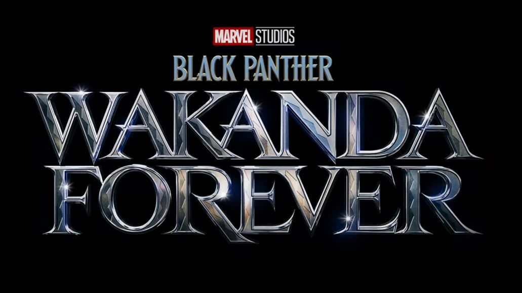 black panther wakanda forever