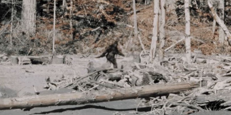 Bigfoot