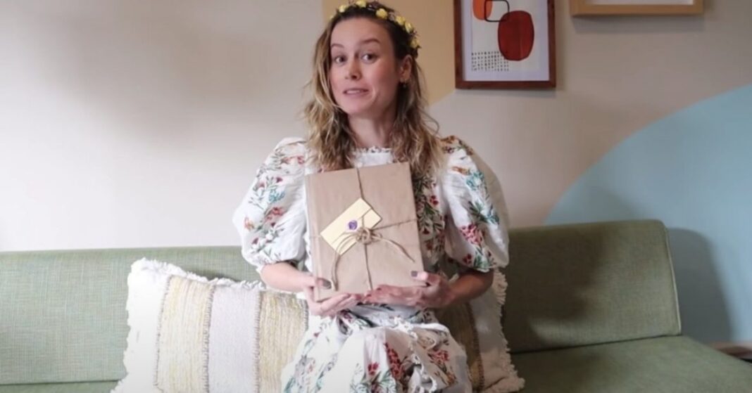 Brie Larson The Legend of Zelda