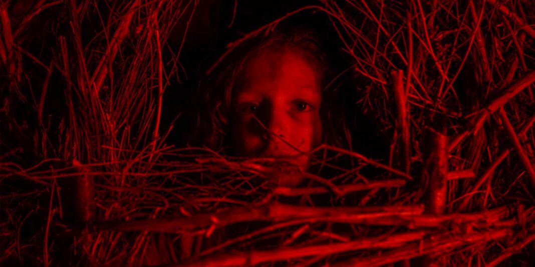 a classic horror story cover