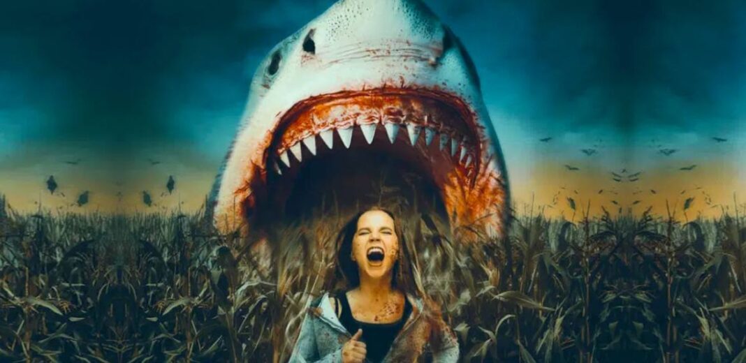 shark of the corn