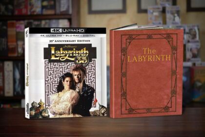 Labyrinth 35 anniversario 4k