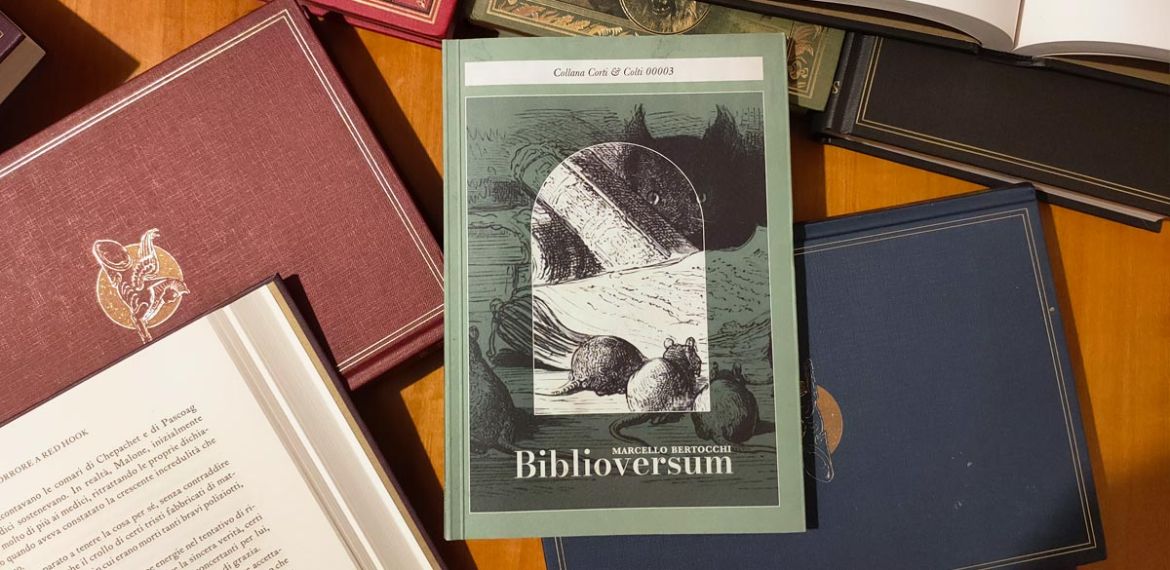 biblioversum