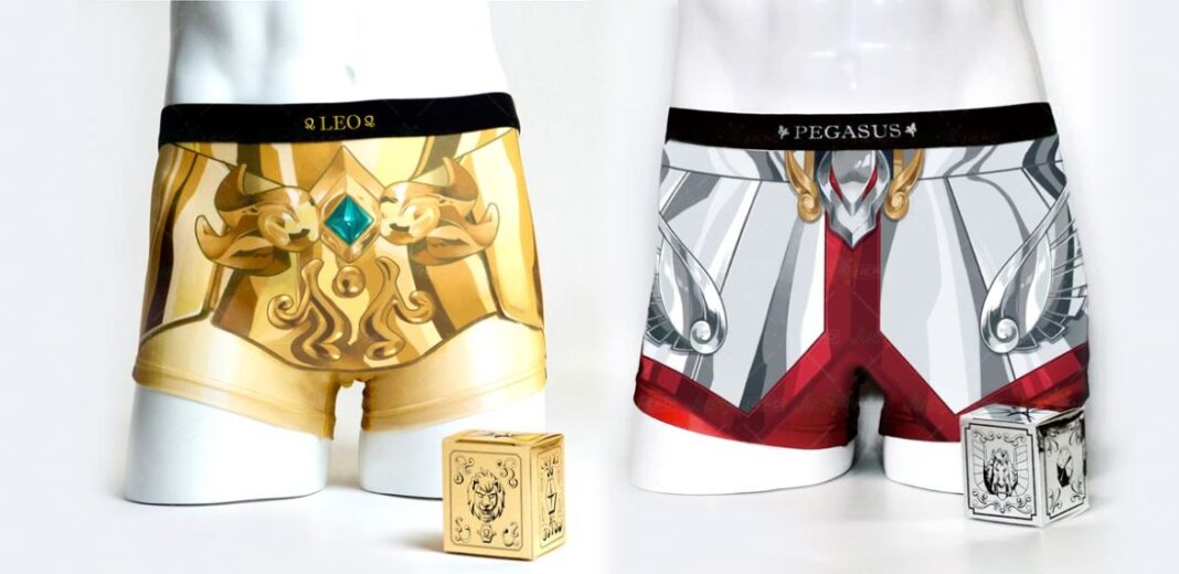 boxer cavalieri dello zodiaco