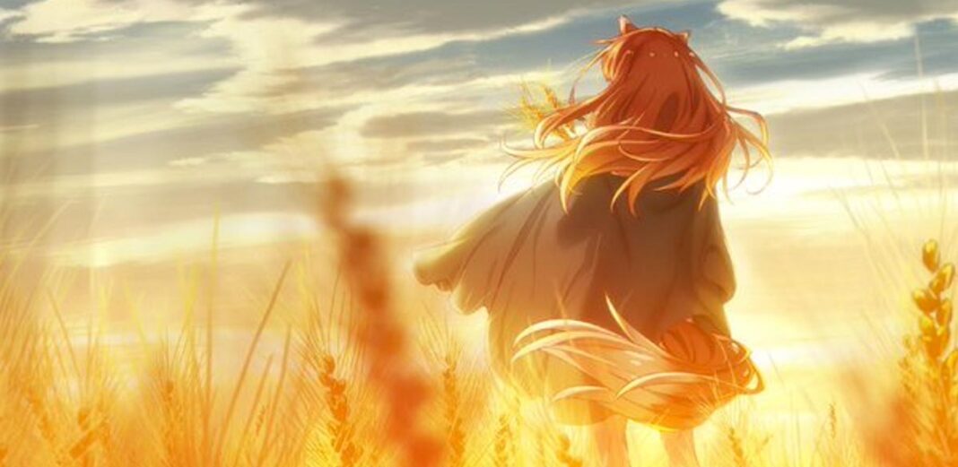 spice and wolf nuovo anime