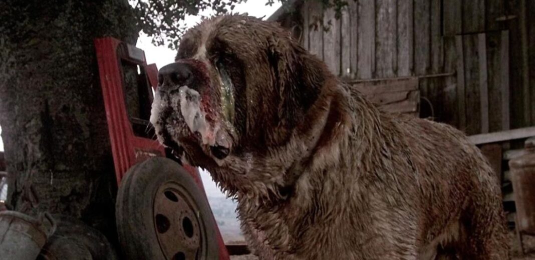 cujo film 1983