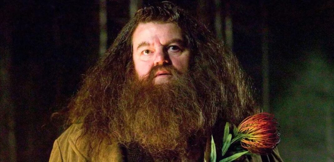 robbie coltrane hagrid harry potter