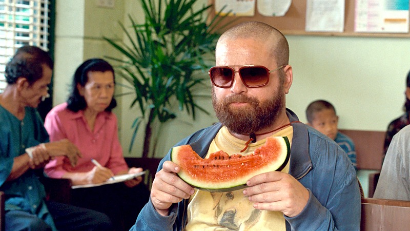 Zach Galifianakis Notte da Leoni 2