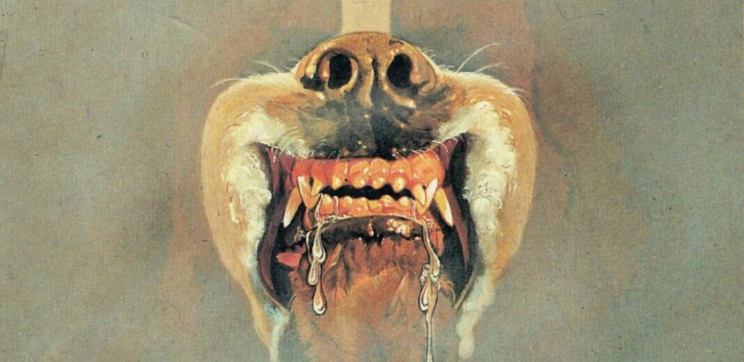 cujo stephen king