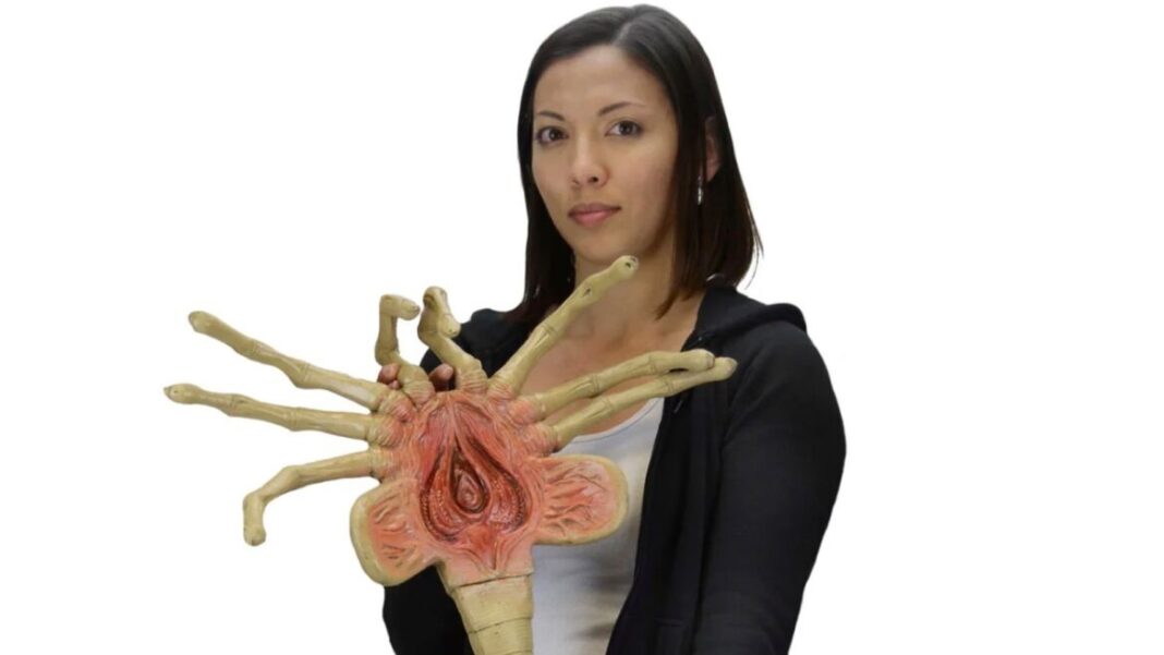 NECA Facehugger