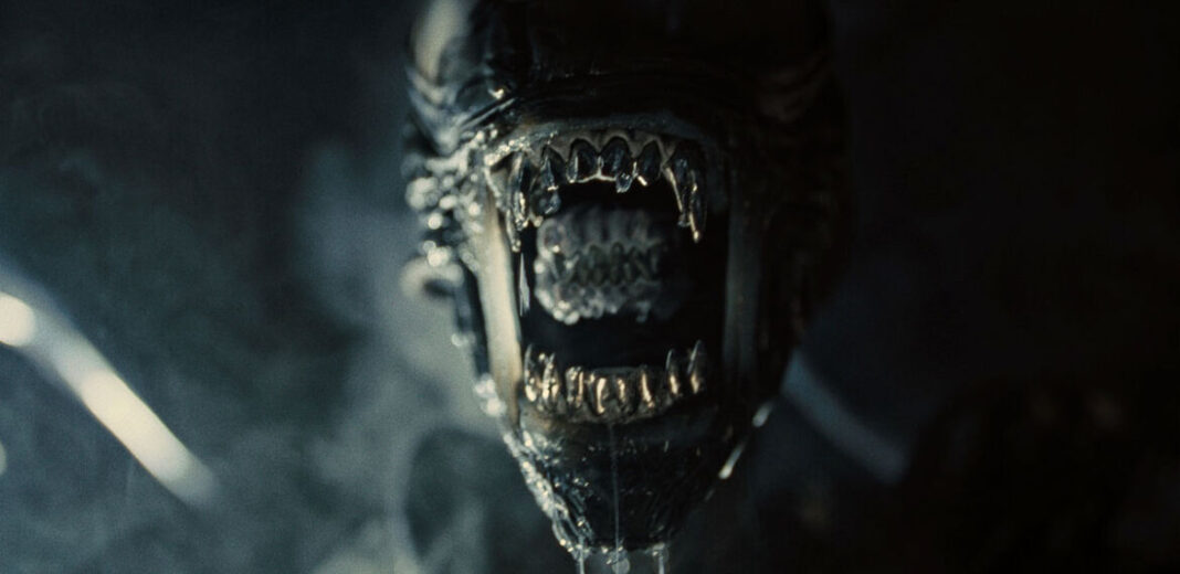 alien romulus xenomorfo