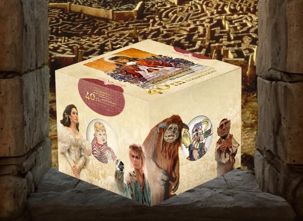 Labyrinth Gioco da tavolo Anniversario