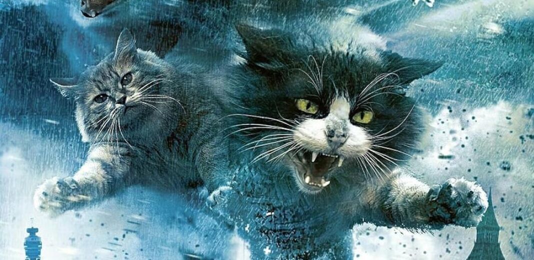 Catnado film