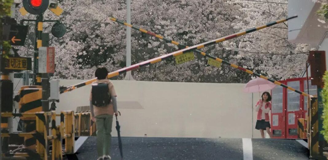 5 centimetri al secondo live action