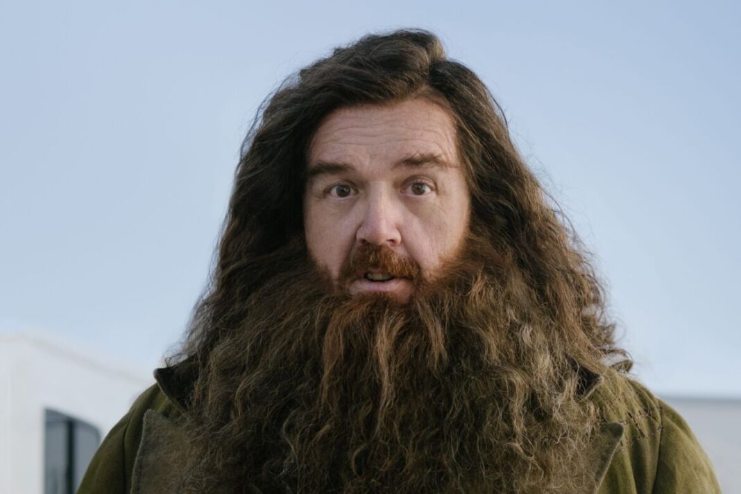 Nick Frost Hagrid