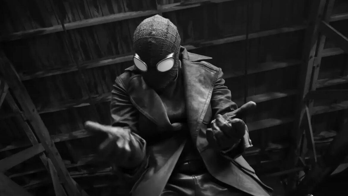 Spider Noir Spider Noir